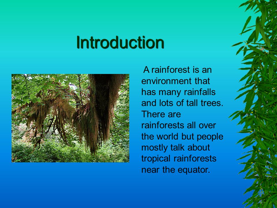 an introduction to the ecology of a rain forest Fundamentals of biology ecology i basic concepts a ecology: the study of the relationships between organisms and their environments b biosphere: the portion of the earth that is capable of supporting life. an introduction to the ecology of a rain forest Fundamentals of biology ecology i basic concepts a ecology: the study of the relationships between organisms and their environments b biosphere: the portion of the earth that is capable of supporting life.