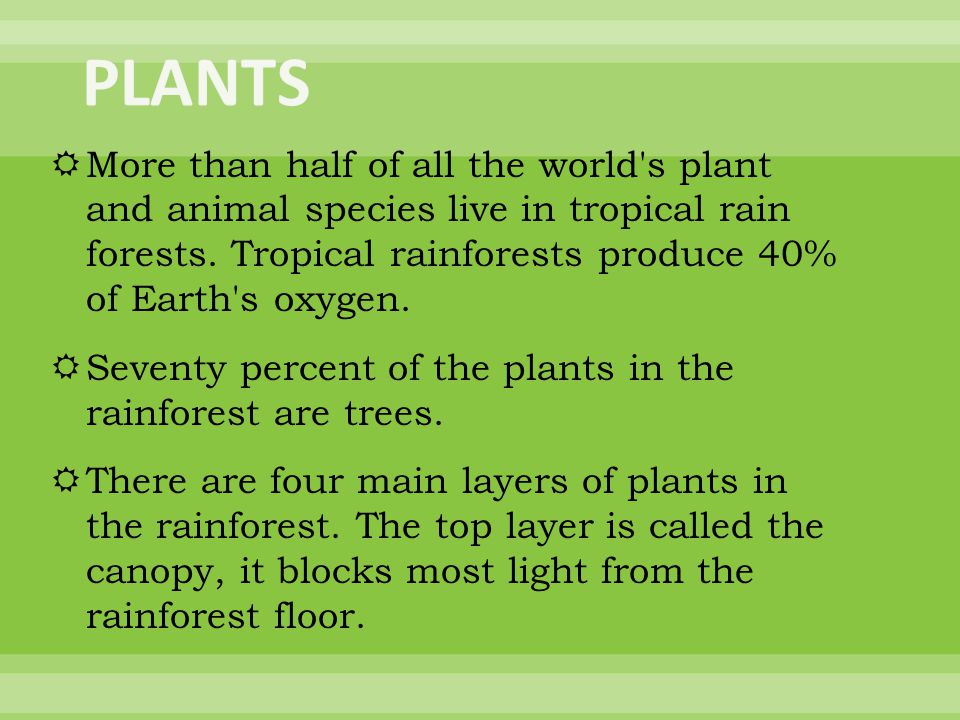  More than half of all the world s plant and animal species live in tropical rain forests.
