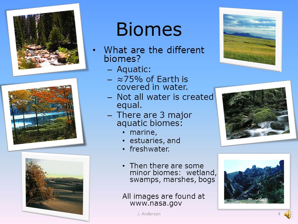 what are biomes