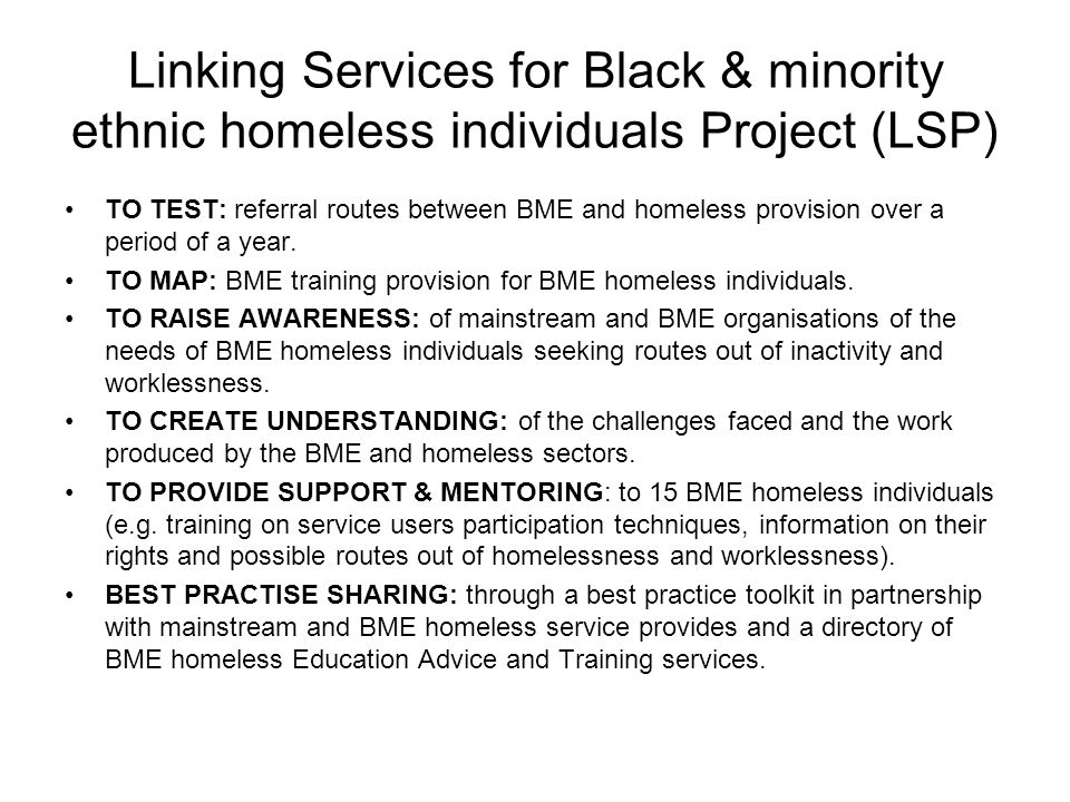 Linking Services for Black & minority ethnic homeless individuals Project (LSP) TO TEST: referral routes between BME and homeless provision over a period of a year.