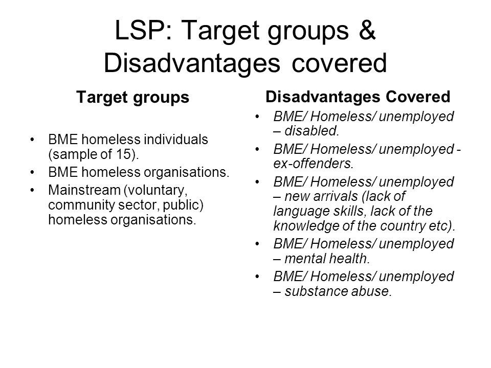 LSP: Target groups & Disadvantages covered Target groups BME homeless individuals (sample of 15).