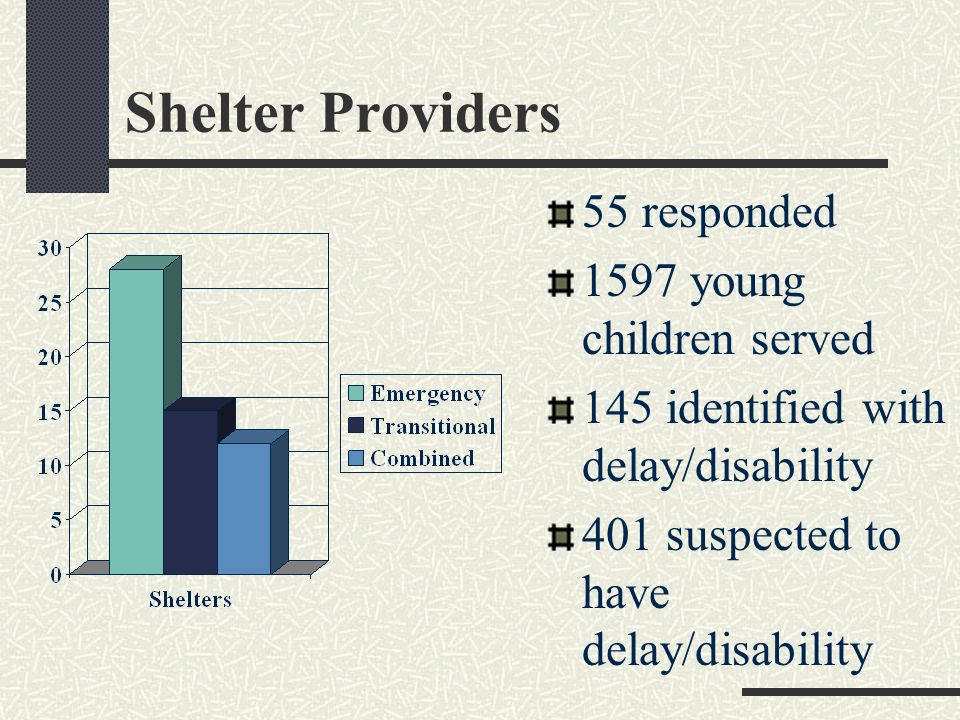Shelter Providers 55 responded 1597 young children served 145 identified with delay/disability 401 suspected to have delay/disability