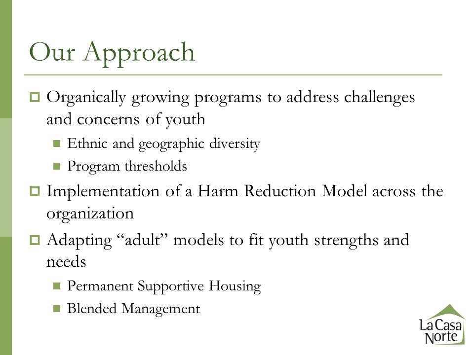 Our Approach  Organically growing programs to address challenges and concerns of youth Ethnic and geographic diversity Program thresholds  Implementation of a Harm Reduction Model across the organization  Adapting adult models to fit youth strengths and needs Permanent Supportive Housing Blended Management
