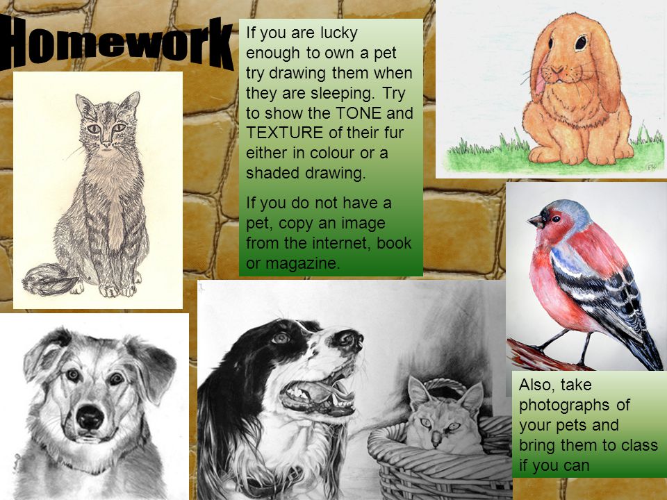If you are lucky enough to own a pet try drawing them when they are sleeping.