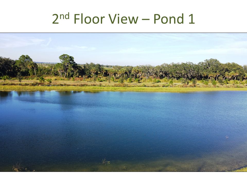 2 nd Floor View – Pond 1