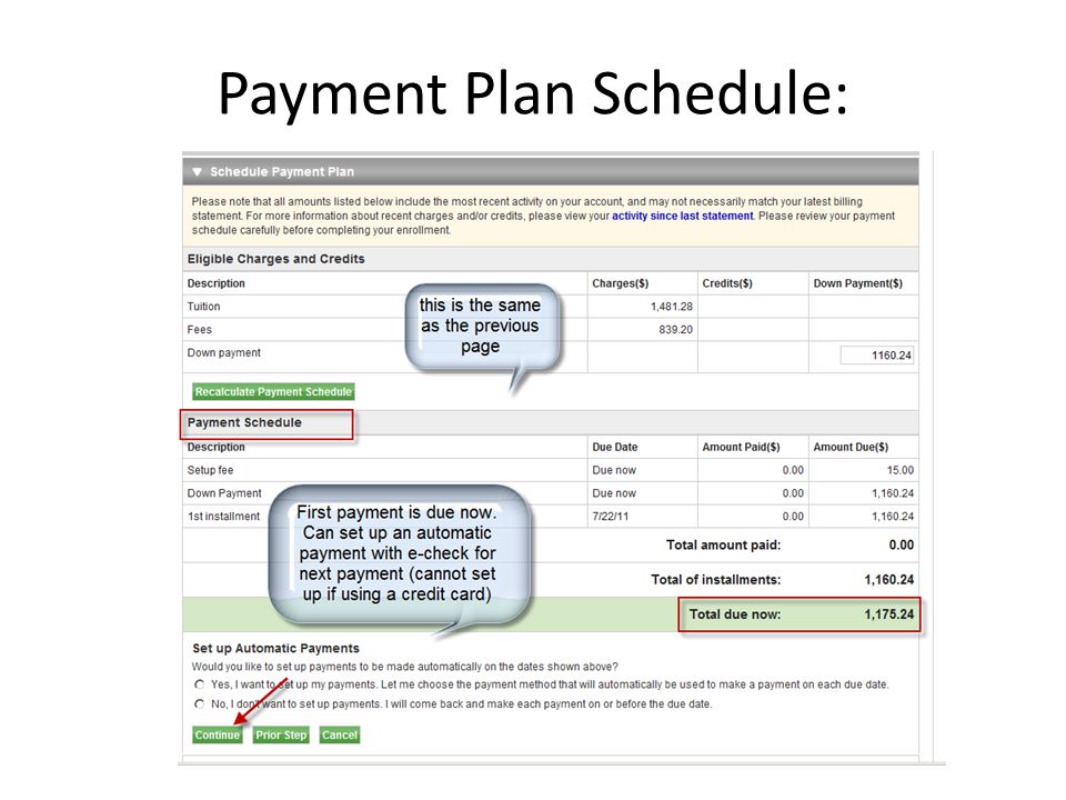 Payment Plan Schedule: