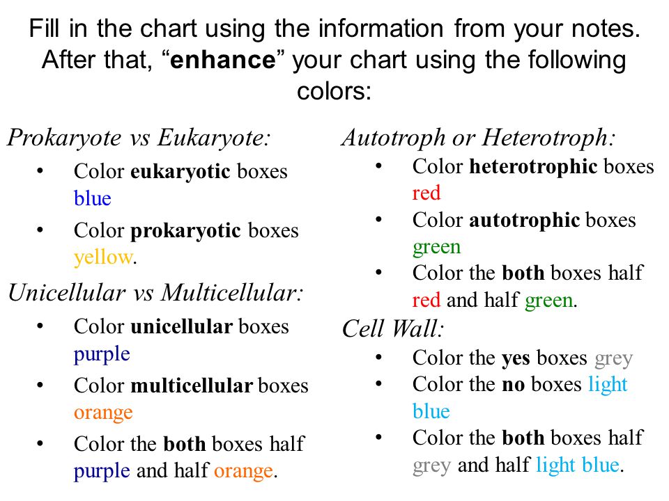 Prokaryote Vs Eukaryote Coloring Worksheet Sheet Page Bellwork Copy The Question And Answer 8 Scientific Research Vs Eukaryotes Worksheet Answers Note Prokaryotes