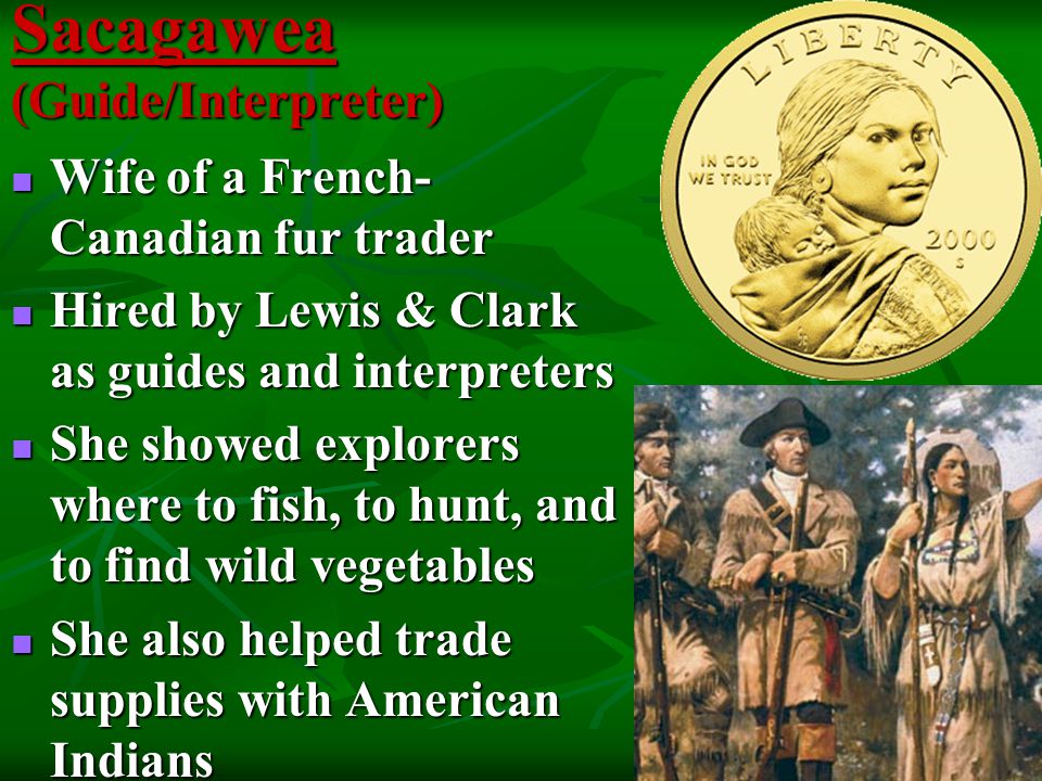 Sacagawea (Guide/Interpreter) Wife of a French- Canadian fur trader Wife of a French- Canadian fur trader Hired by Lewis & Clark as guides and interpreters Hired by Lewis & Clark as guides and interpreters She showed explorers where to fish, to hunt, and to find wild vegetables She showed explorers where to fish, to hunt, and to find wild vegetables She also helped trade supplies with American Indians She also helped trade supplies with American Indians