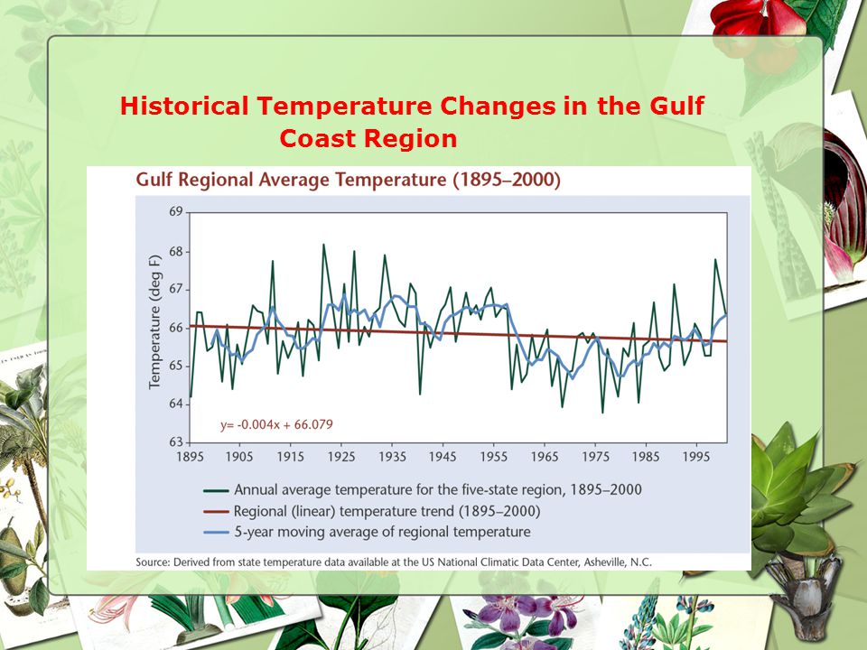 Historical Temperature Changes in the Gulf Coast Region