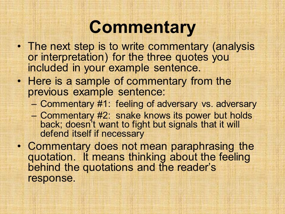 what is a commentary in an essay