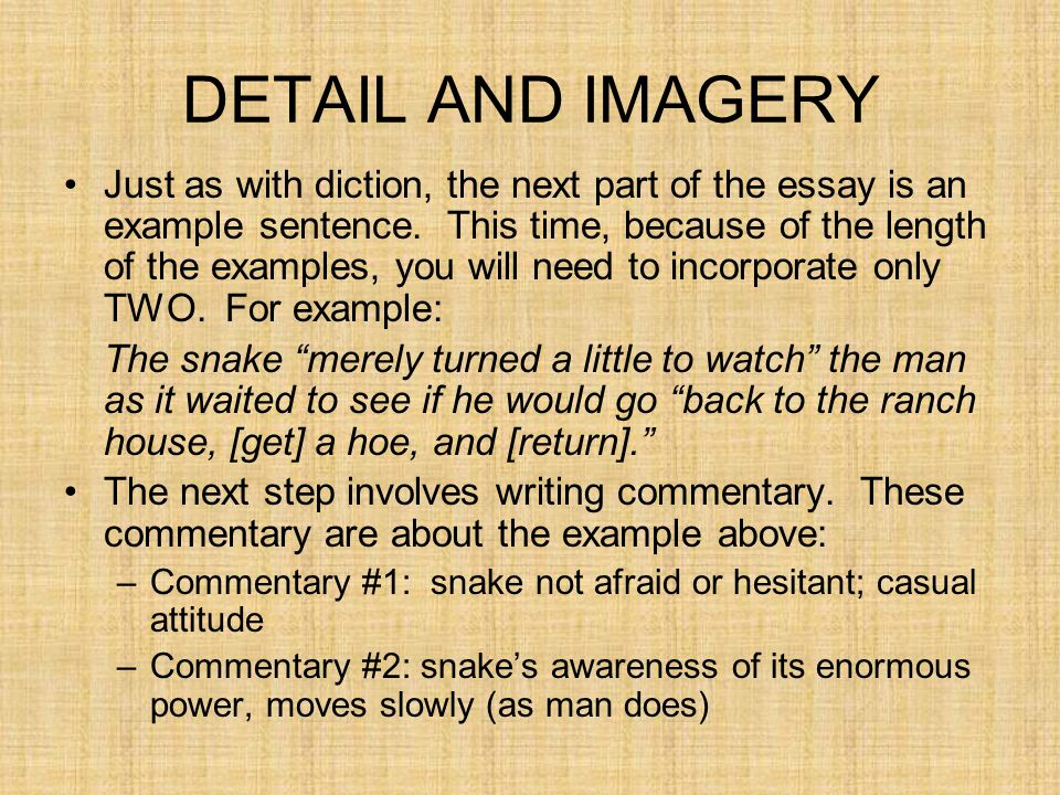 Diction poem essay examples