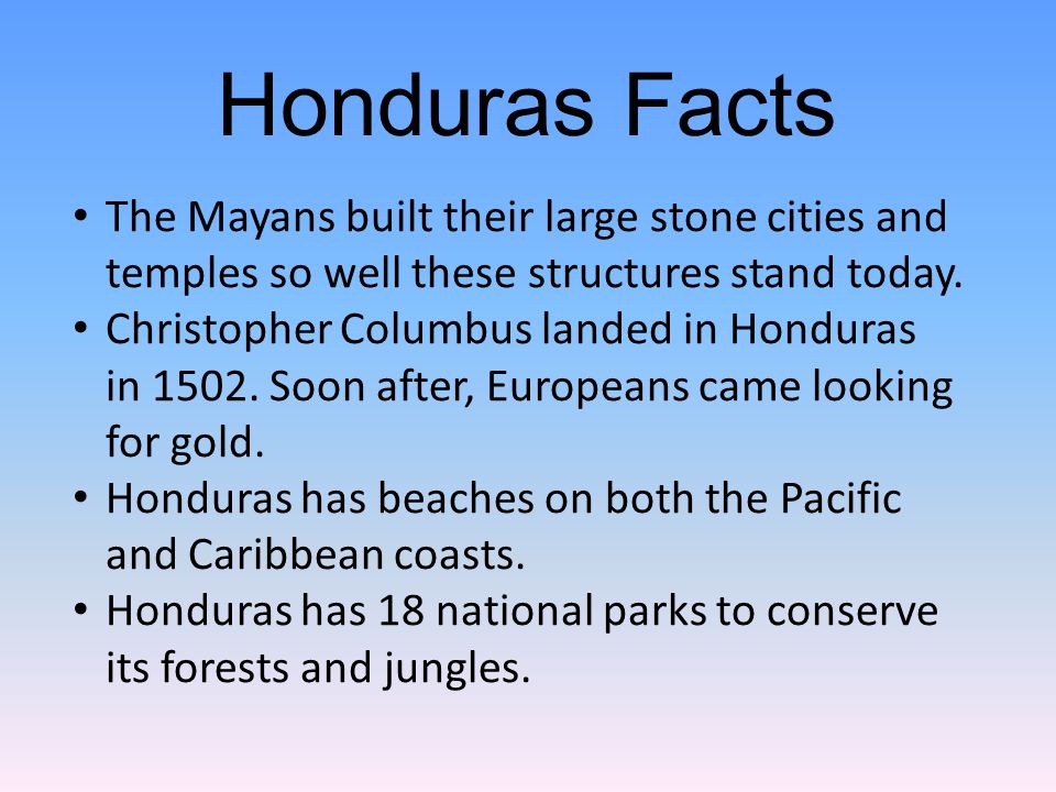 The Mayans built their large stone cities and temples so well these structures stand today.