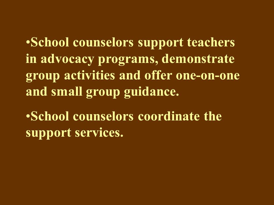 School counselors support teachers in advocacy programs, demonstrate group activities and offer one-on-one and small group guidance.