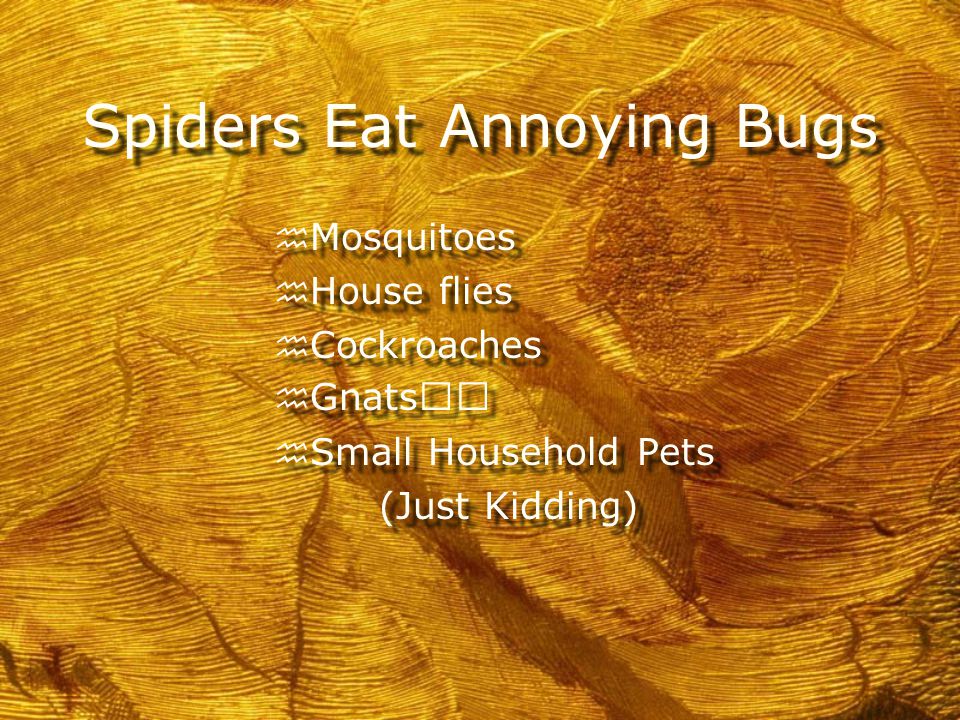 Why I Like Spiders h Spiders Eat Annoying Bugs h Spiders Build Cool Webs h Spiders Are Not Insects h Most Spiders Are Harmless h Tarantulas Make Good Pets h Spiders Eat Annoying Bugs h Spiders Build Cool Webs h Spiders Are Not Insects h Most Spiders Are Harmless h Tarantulas Make Good Pets