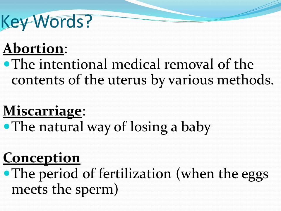 Write My Should Abortion Be Permitted Essay Essay Should Abortion Be Legalized Or Permitted Or Not English Class Reflection Essay also Old English Essay Custom Writing Services Academic