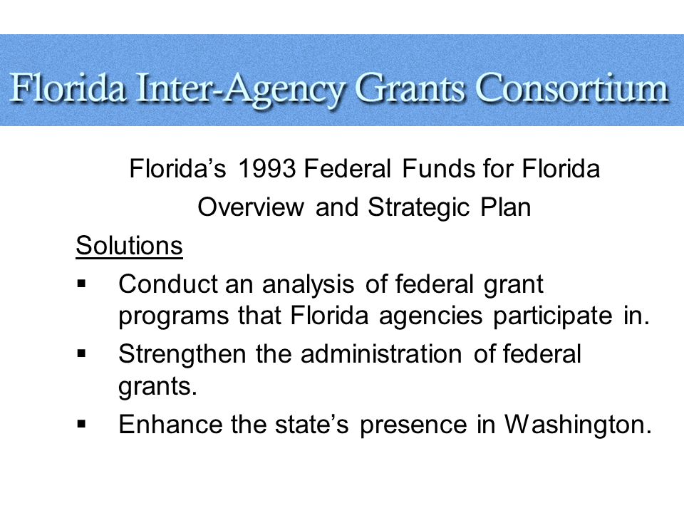Florida’s 1993 Federal Funds for Florida Overview and Strategic Plan Solutions  Conduct an analysis of federal grant programs that Florida agencies participate in.