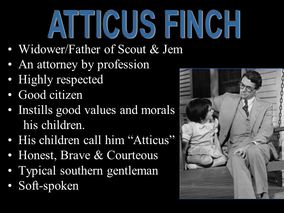 Widower/Father of Scout & Jem An attorney by profession Highly respected Good citizen Instills good values and morals in his children.