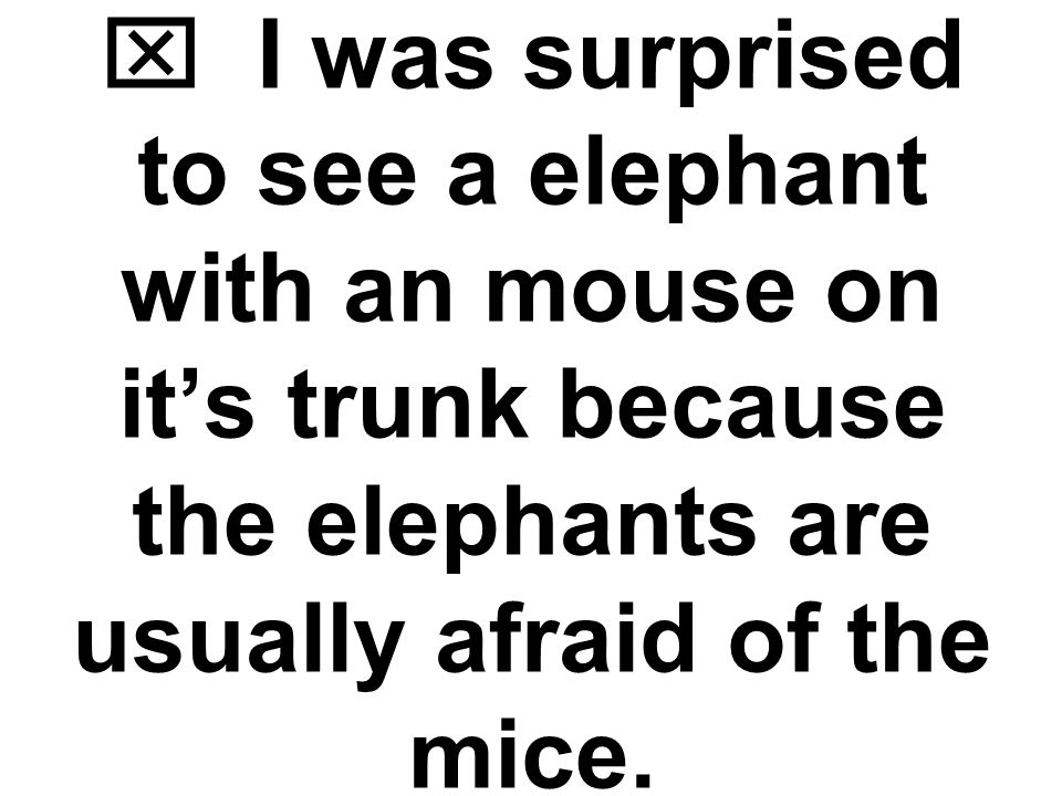  I was surprised to see a elephant with an mouse on it’s trunk because the elephants are usually afraid of the mice.