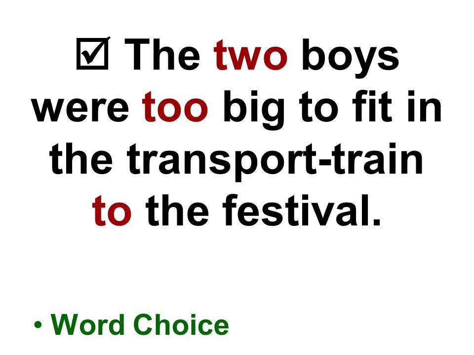  The two boys were too big to fit in the transport-train to the festival. Word Choice