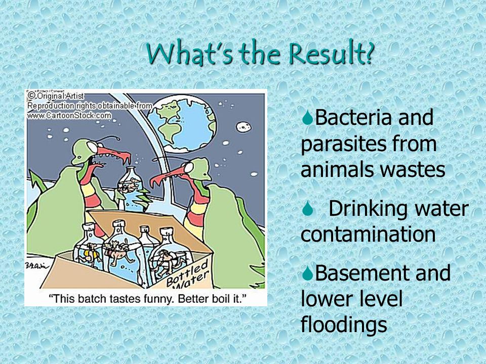 Stormwater Water from rain or melted snow that does not soak into the ground Runoff Flowing stormwater that picks up soil, pet wastes, salts, fertilizers, pesticides, oil, grease, yard wastes, litter and other pollutants Becomes  To our Streams, Lakes & Rivers But where does it all go