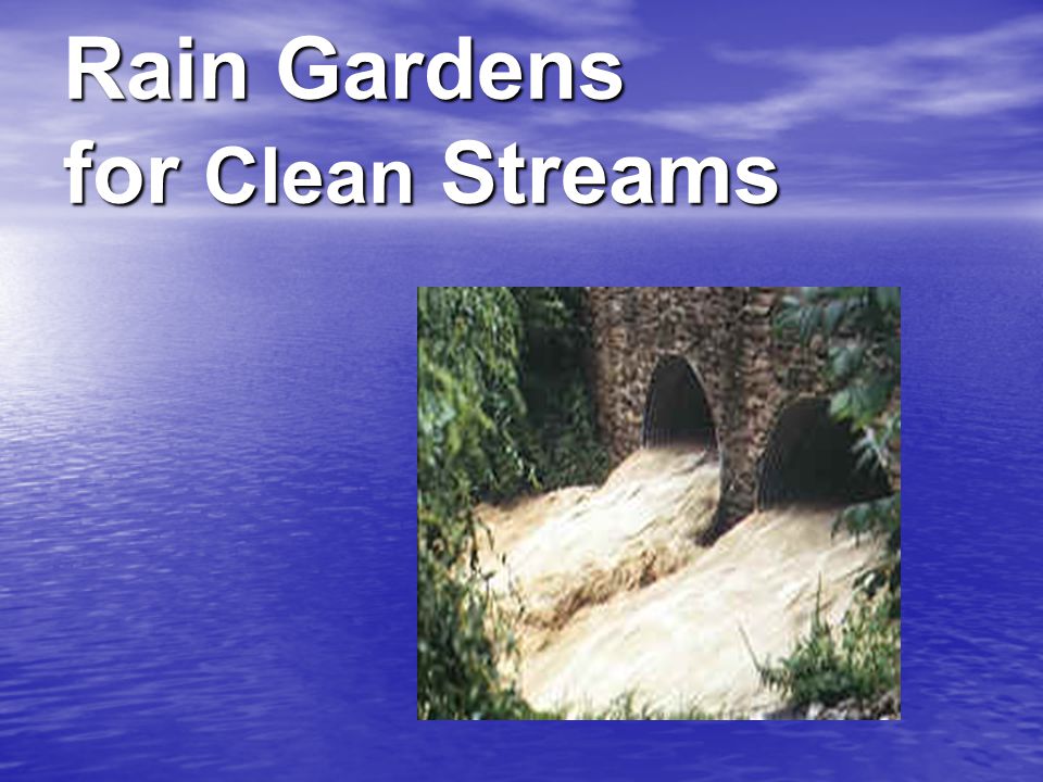 Rain Gardens for Clean Streams