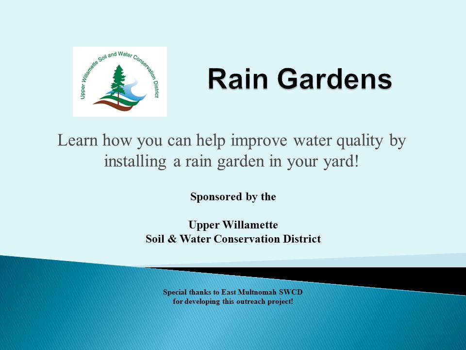 Learn how you can help improve water quality by installing a rain garden in your yard.