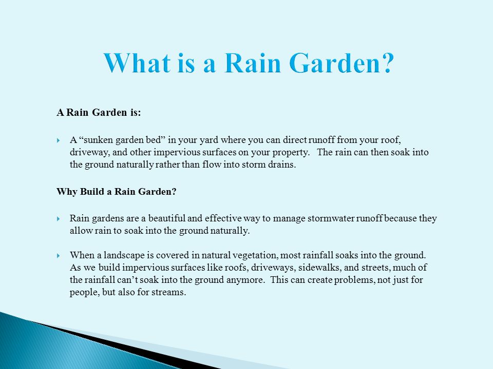 What is a Rain Garden.