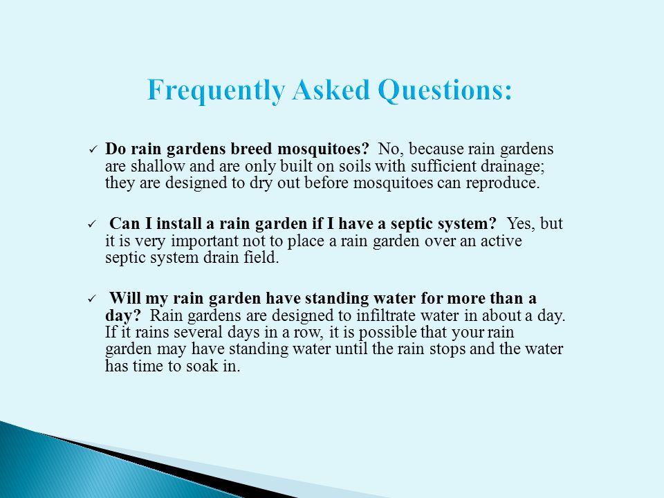 Frequently Asked Questions: Do rain gardens breed mosquitoes.