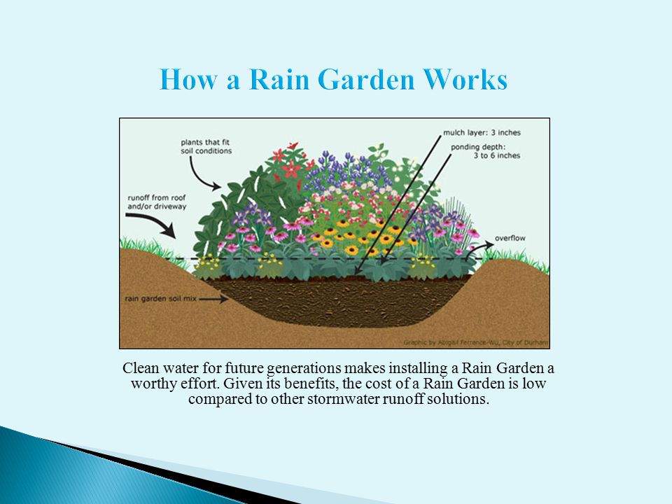 How a Rain Garden Works Clean water for future generations makes installing a Rain Garden a worthy effort.