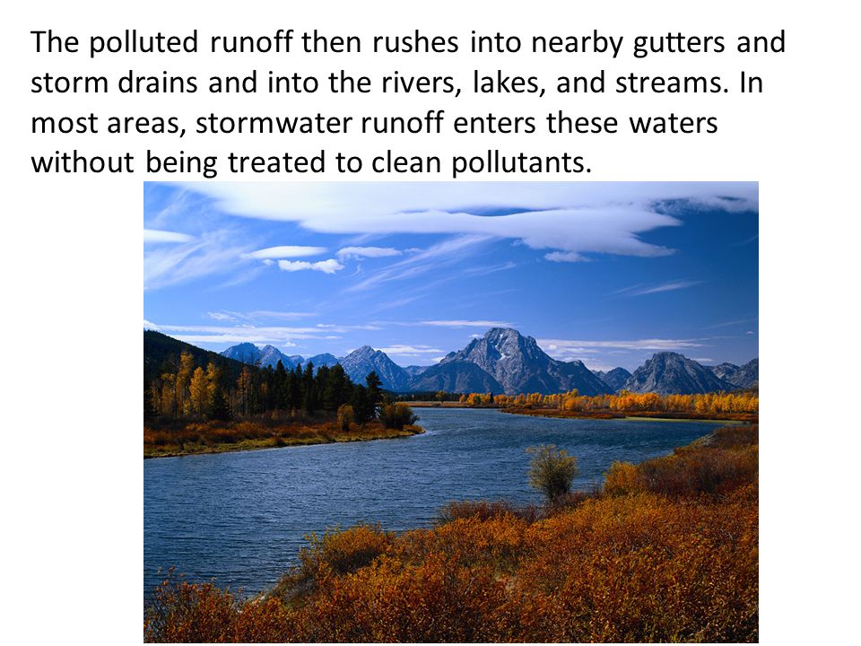 The polluted runoff then rushes into nearby gutters and storm drains and into the rivers, lakes, and streams.