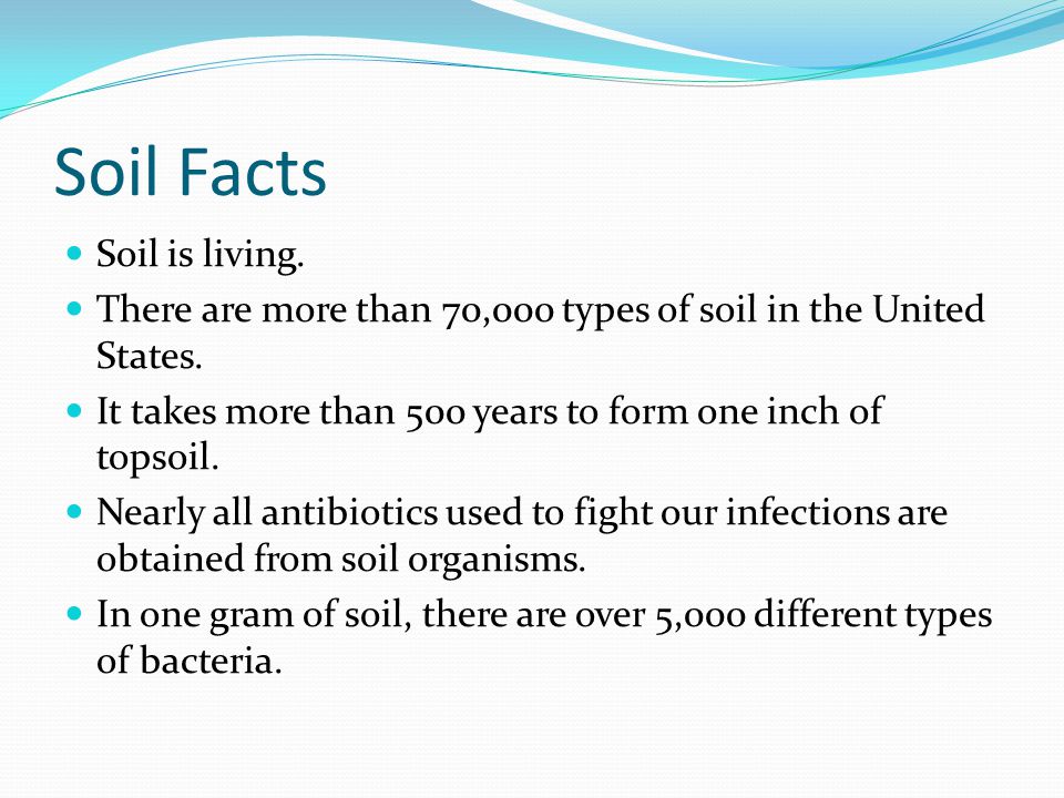 Soil Facts Soil is living. There are more than 70,000 types of soil in the United States.