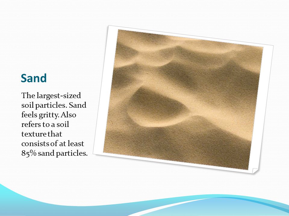 Sand The largest-sized soil particles. Sand feels gritty.