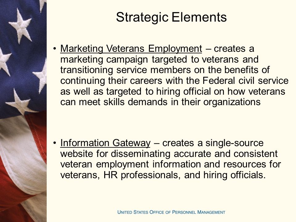 Strategic Elements Marketing Veterans Employment – creates a marketing campaign targeted to veterans and transitioning service members on the benefits of continuing their careers with the Federal civil service as well as targeted to hiring official on how veterans can meet skills demands in their organizations Information Gateway – creates a single-source website for disseminating accurate and consistent veteran employment information and resources for veterans, HR professionals, and hiring officials.