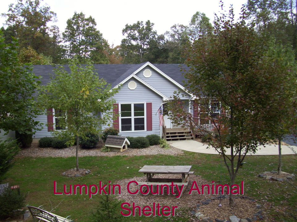 Lumpkin County Animal Shelter