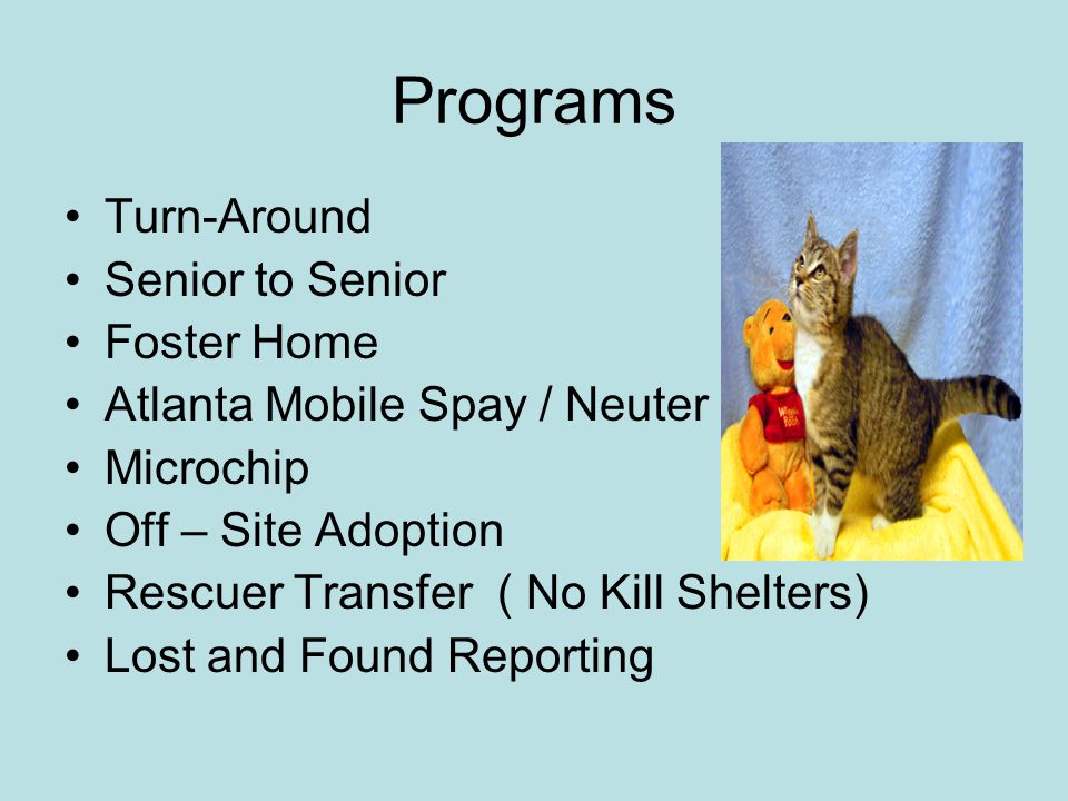Programs Turn-Around Senior to Senior Foster Home Atlanta Mobile Spay / Neuter Microchip Off – Site Adoption Rescuer Transfer ( No Kill Shelters) Lost and Found Reporting