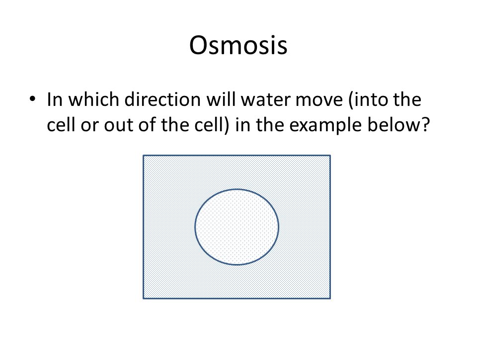 Worksheets Active And Passive Transport Worksheet active and passive transport worksheet quiz in cells study