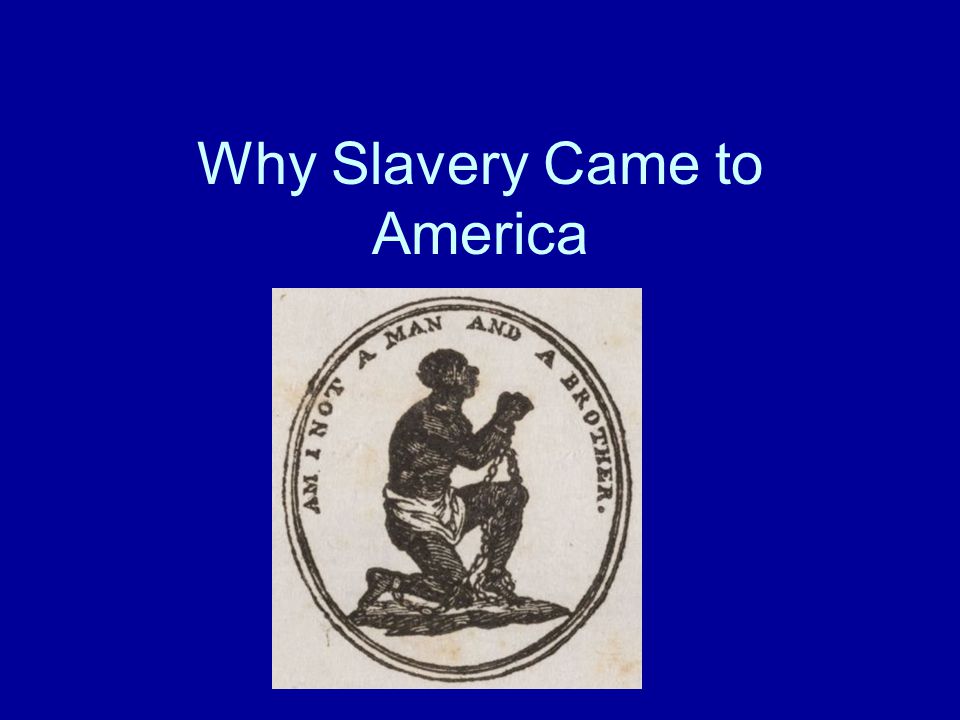 Why Slavery Came to America