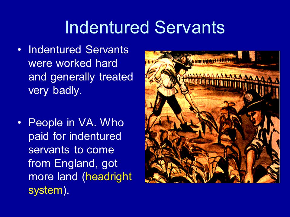 Indentured Servants Indentured Servants were worked hard and generally treated very badly.