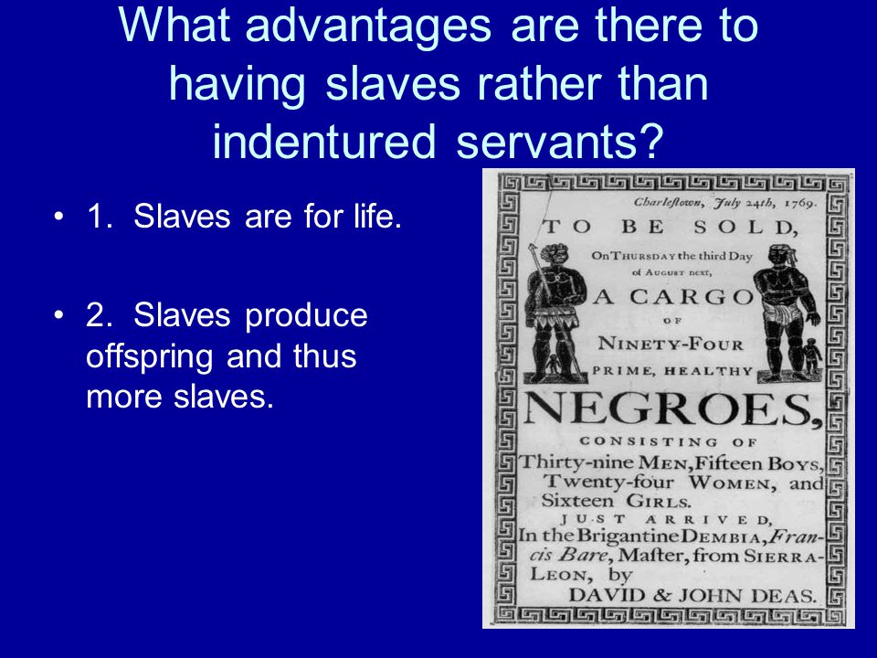 What advantages are there to having slaves rather than indentured servants.