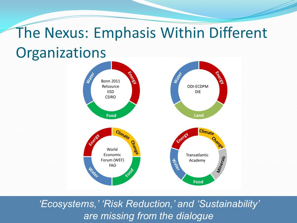The Nexus: Emphasis Within Different Organizations ‘Ecosystems,’ ‘Risk Reduction,’ and ‘Sustainability’ are missing from the dialogue