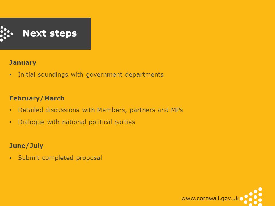 Next steps January Initial soundings with government departments February/March Detailed discussions with Members, partners and MPs Dialogue with national political parties June/July Submit completed proposal