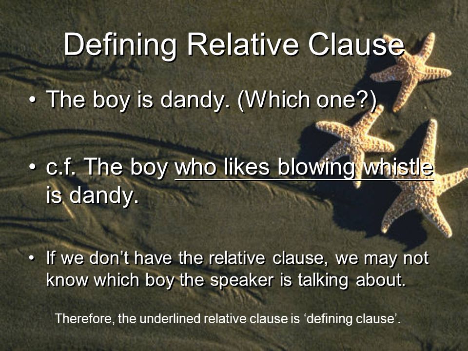 Defining Relative Clause The boy is dandy. (Which one ) c.f.