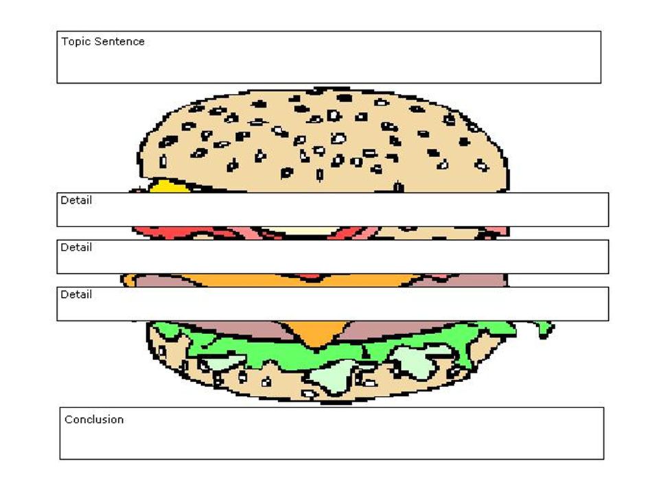 5 paragraph essay graphic organizer hamburger