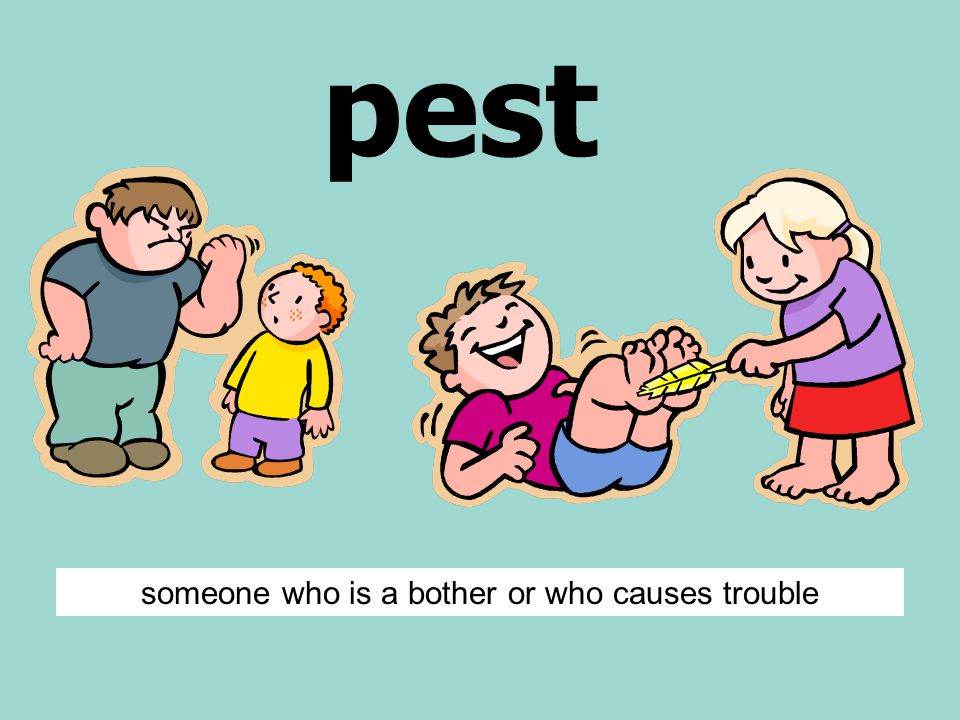 pest someone who is a bother or who causes trouble