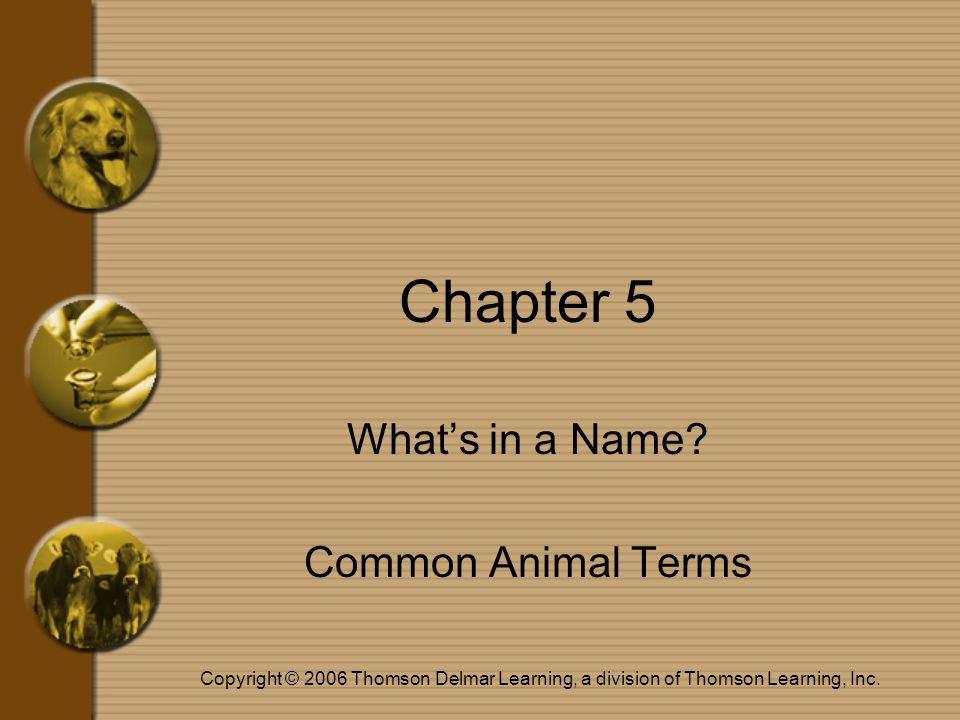 Copyright © 2006 Thomson Delmar Learning, a division of Thomson Learning, Inc.