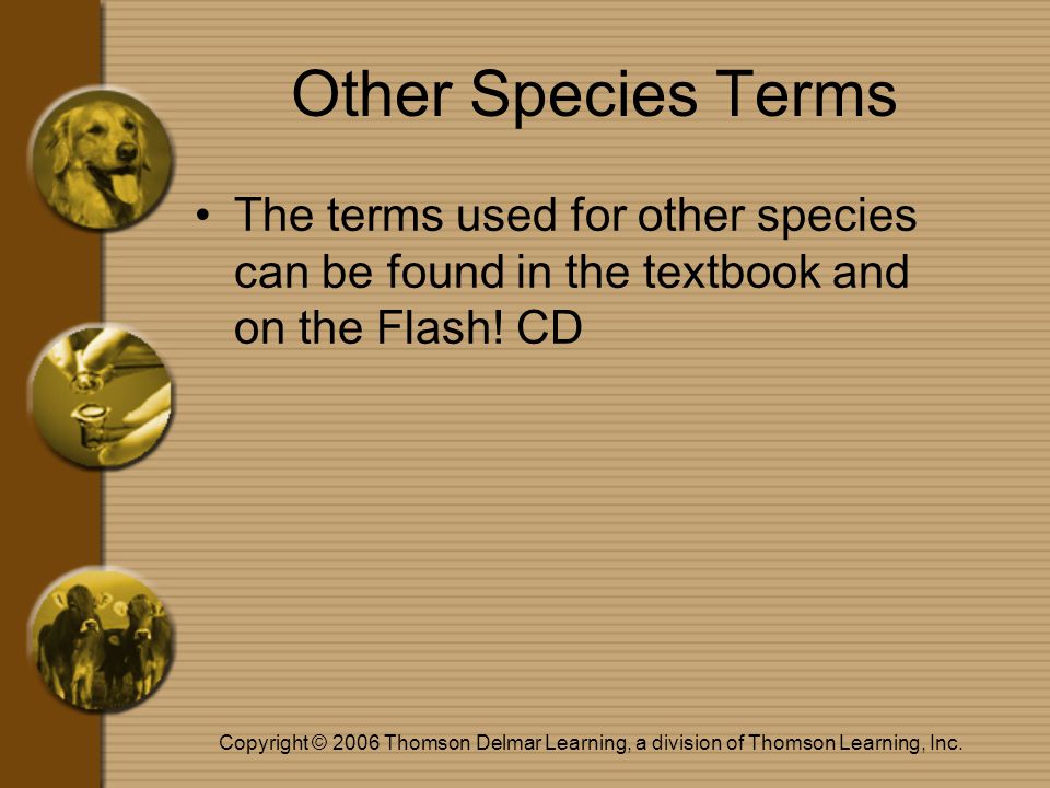 Copyright © 2006 Thomson Delmar Learning, a division of Thomson Learning, Inc.