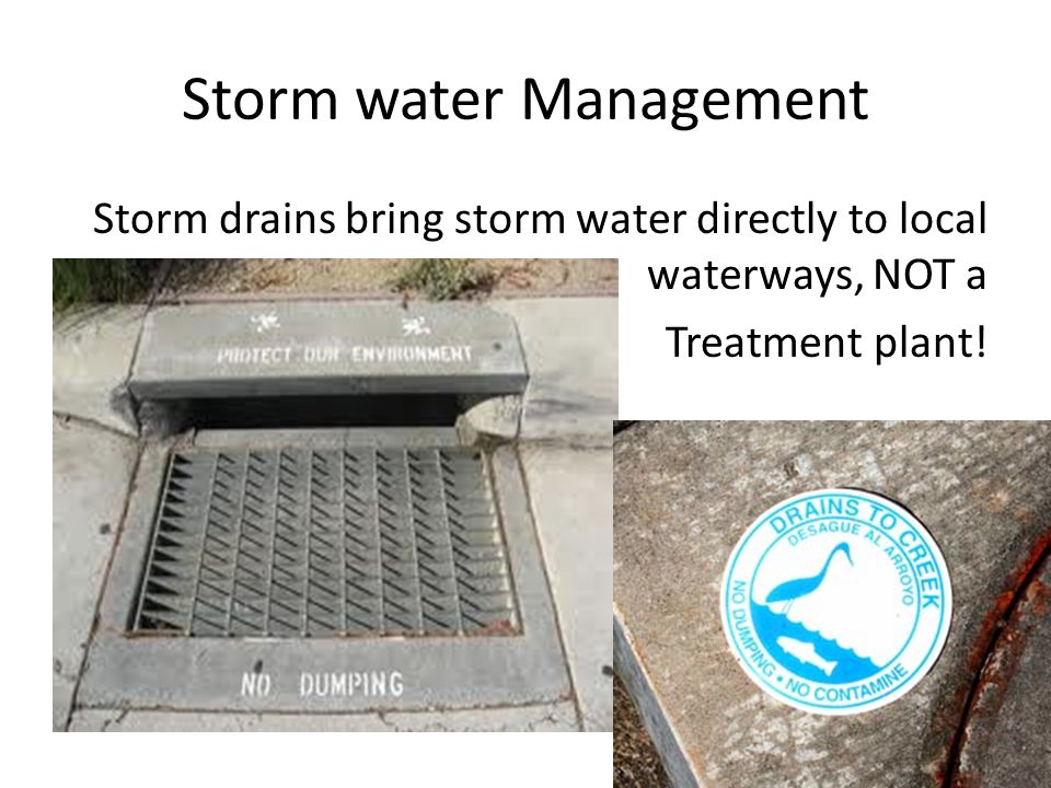 Storm water Management Storm drains bring storm water directly to local waterways, NOT a Treatment plant!
