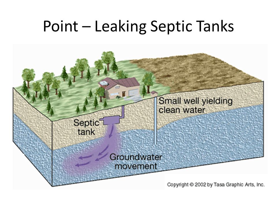 Point – Leaking Septic Tanks