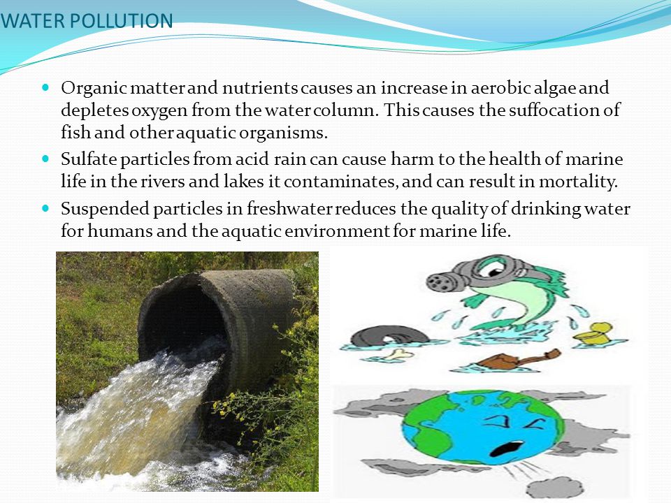 WATER POLLUTION Organic matter and nutrients causes an increase in aerobic algae and depletes oxygen from the water column.
