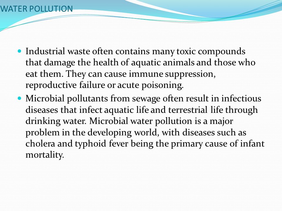 WATER POLLUTION Industrial waste often contains many toxic compounds that damage the health of aquatic animals and those who eat them.